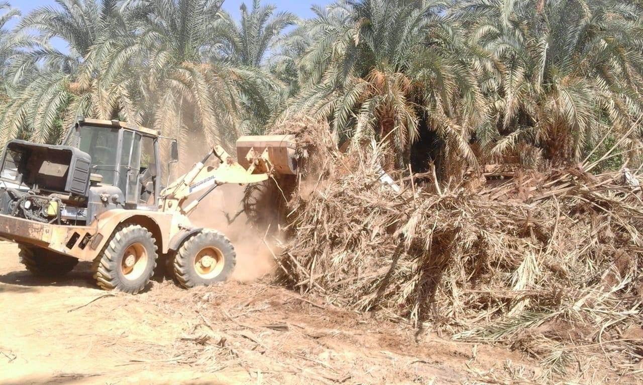 قرار من امانة بغداد حول الأراضي الزراعية وبيعها